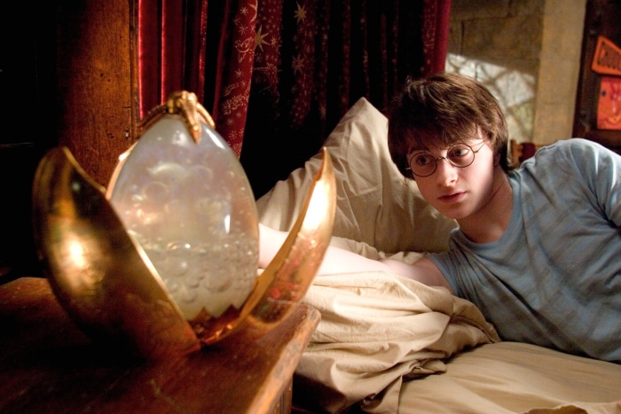 Harry Potter with the Golden Egg
