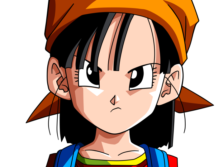 Dragon Ball GT HD, Pan (Dragon Ball), HD Wallpaper | Rare Gallery