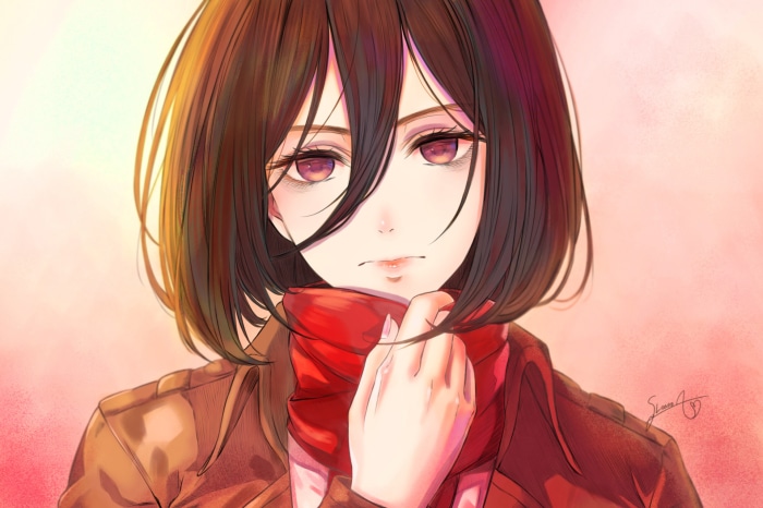 Mikasa Ackerman from Attack On Titan