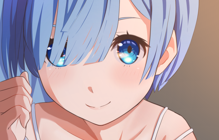 Rem from Re:ZERO -Starting Life In Another World-