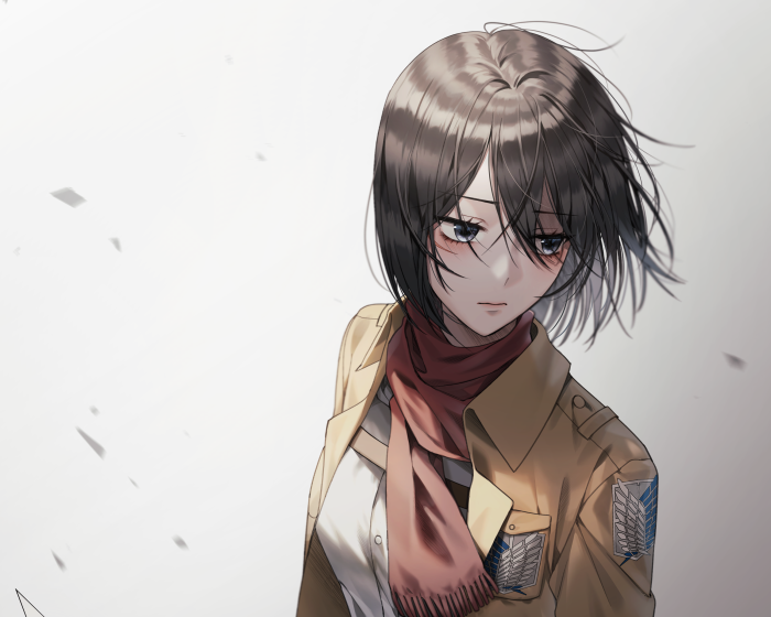 Mikasa Ackerman from Attack On Titan