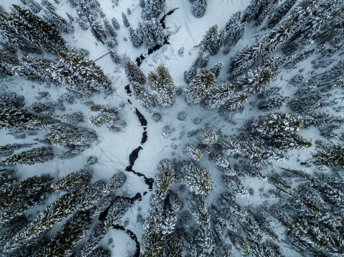 Aerial view of a snow-covered forest with a winding river