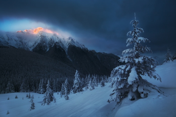 Snowy mountains with sunlit peaks and pine trees