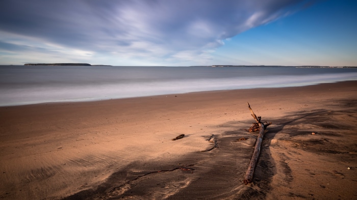 Beach with driftwood and ocean waves