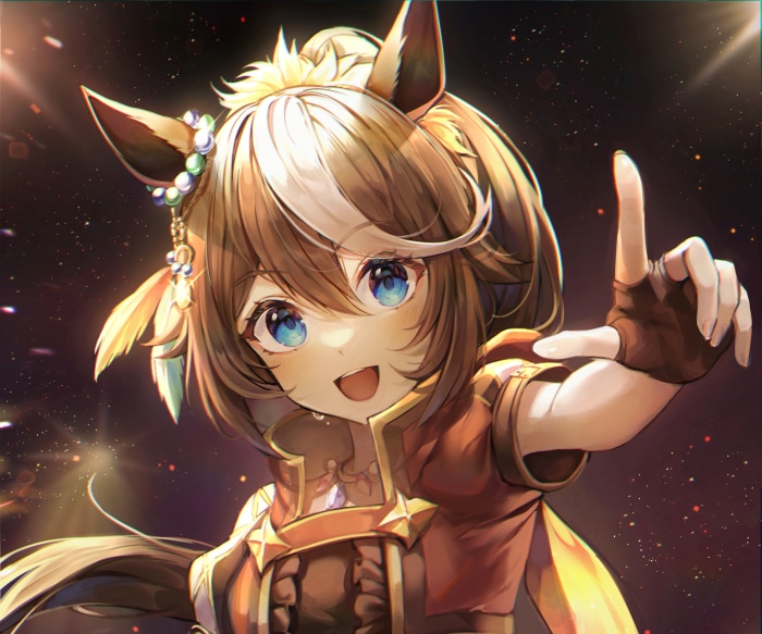 Tokai Teio from Uma Musume: Pretty Derby