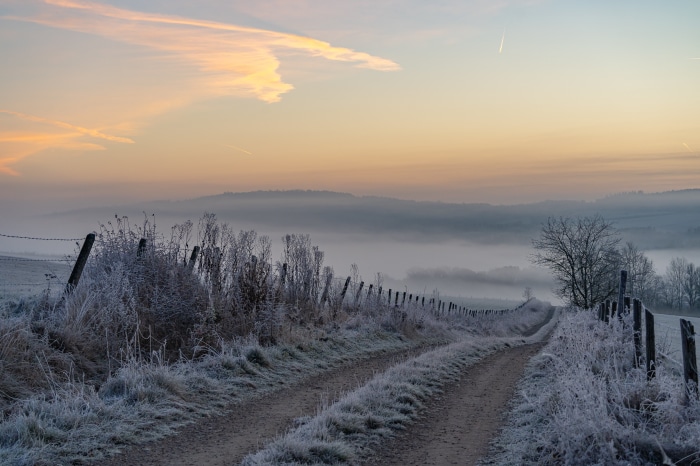 Morning frost on a rural path
