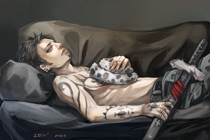 Trafalgar Law from One Piece