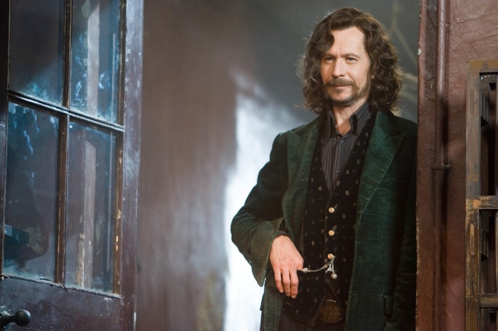 Sirius Black from Harry Potter