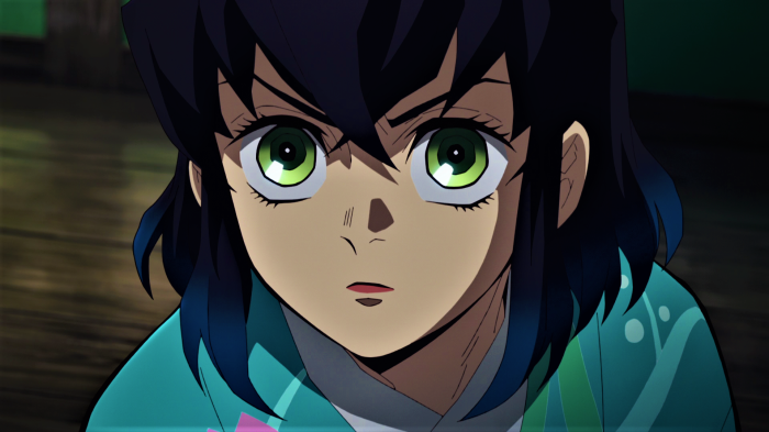 Inosuke as a girl, Inosuke Hashibira, HD Wallpaper | Rare Gallery