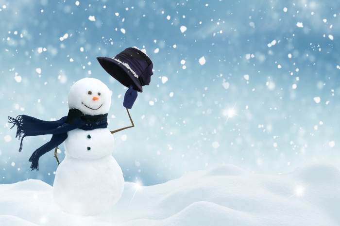 Artistic Snowman in Winter Snowfall 4K