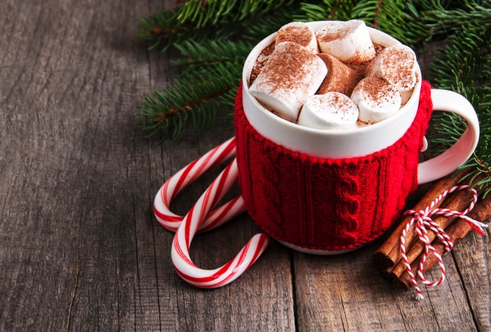 Hot Chocolate with Marshmallows and Candy Canes