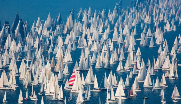 Large Regatta of Sailboats on the Water