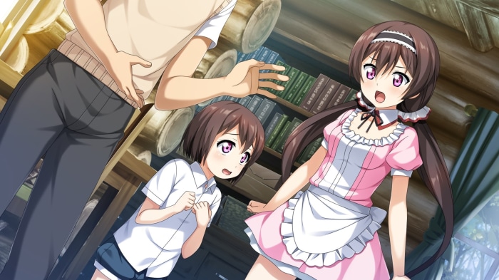 Anime girls in a room with bookshelves