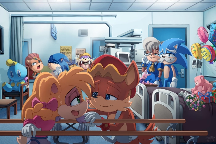 Sonic the Hedgehog characters in a hospital room