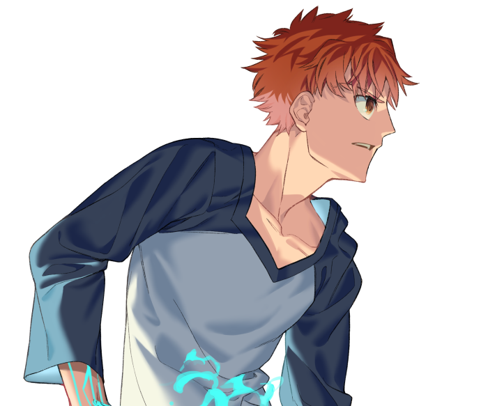 Shirou Emiya from Fate/Hollow Ataraxia