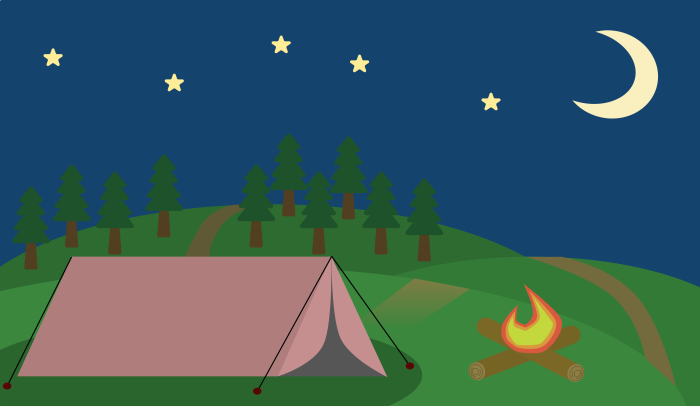 Camping in a pine forest at night