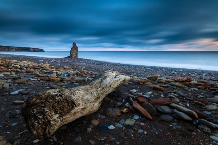 Driftwood on a rocky beach in England