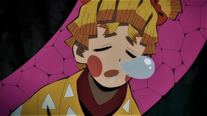 Zenitsu Agatsuma from Demon Slayer sleeping