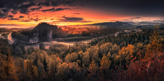 River and forest landscape at sunset