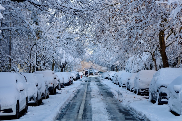 Street covered in snow with parked cars and trees