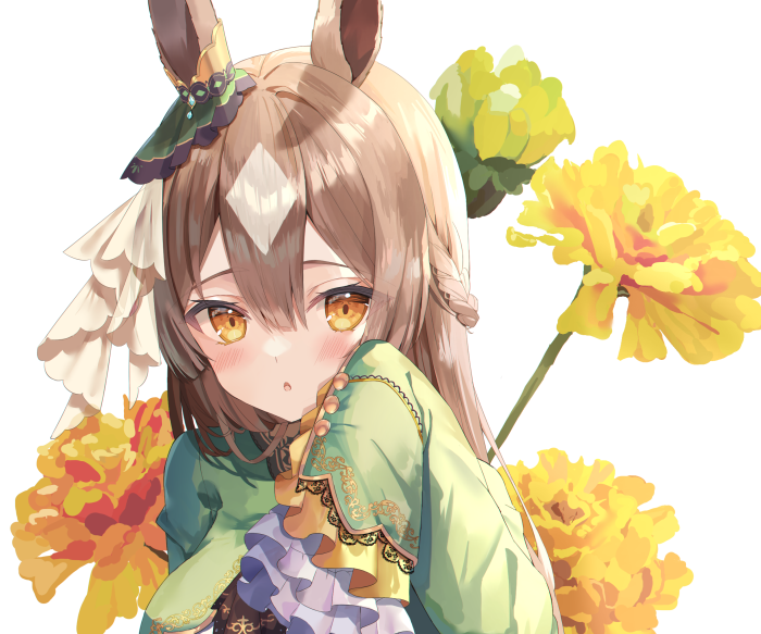 Satono Diamond from Uma Musume: Pretty Derby