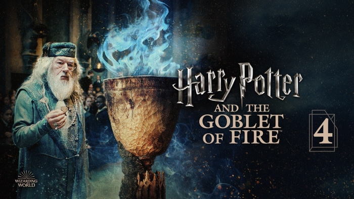 Albus Dumbledore from Harry Potter and the Goblet of Fire