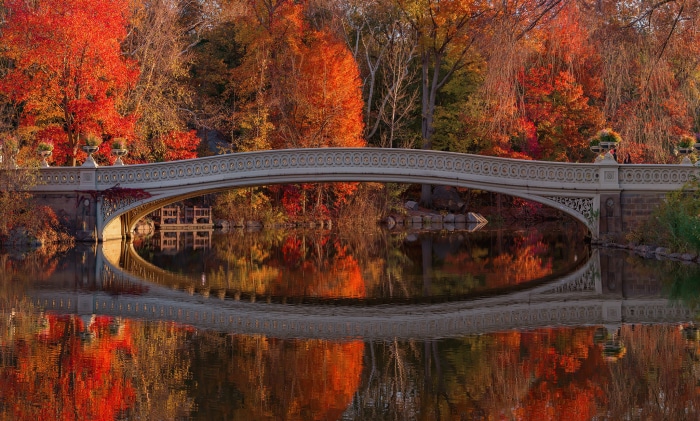 Bow Bridge in Central Park during Autumn