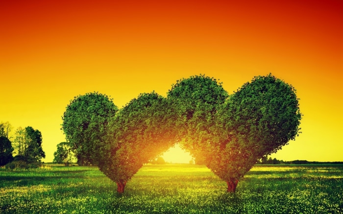 Heart-shaped trees at sunset