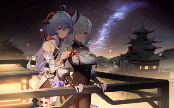 Shenhe and Ganyu from Genshin Impact under the stars