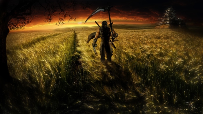 Ryu Hayabusa from Ninja Gaiden in a field