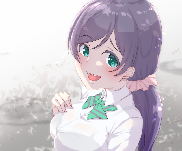 Nozomi Tojo from Love Live! School Idol Festival