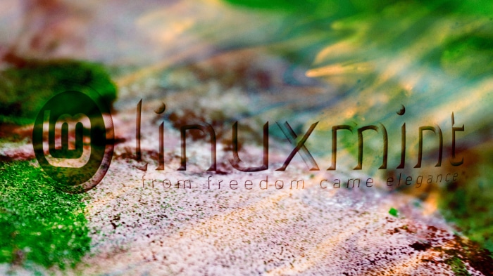 Linux Mint logo with tagline