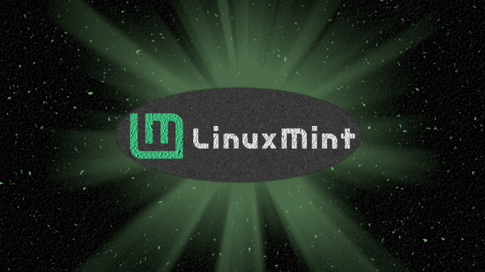 Linux Mint Logo on Dark Textured Background