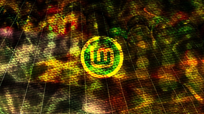 Linux Mint logo on abstract background