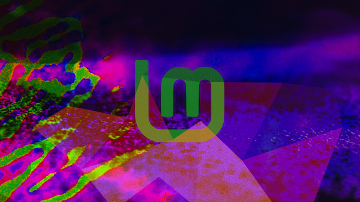 Linux Mint logo on abstract background