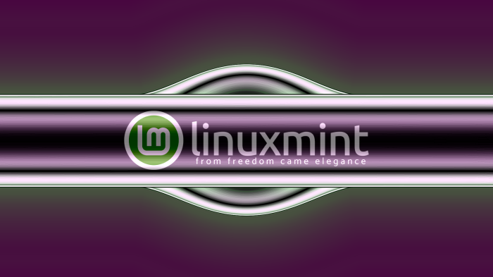 Linux Mint logo with tagline