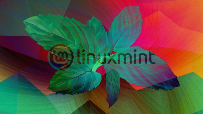 Linux Mint logo with mint leaves and abstract background