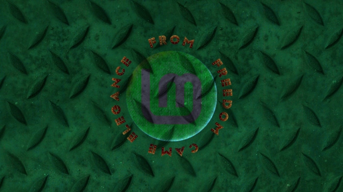Linux Mint logo with text