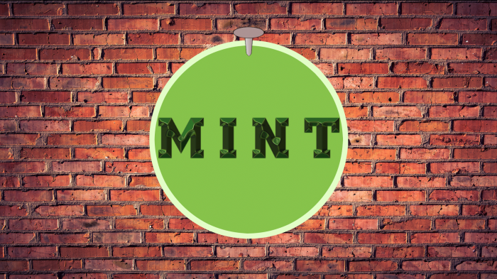 Linux Mint logo on a brick wall