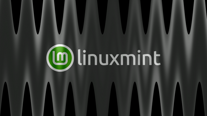 Linux Mint logo on a dark wavy background