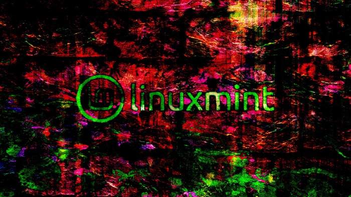 Linux Mint logo on abstract background