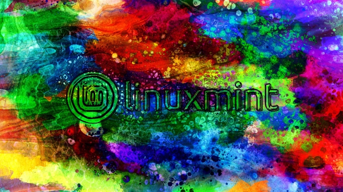 Linux Mint logo on colorful abstract background
