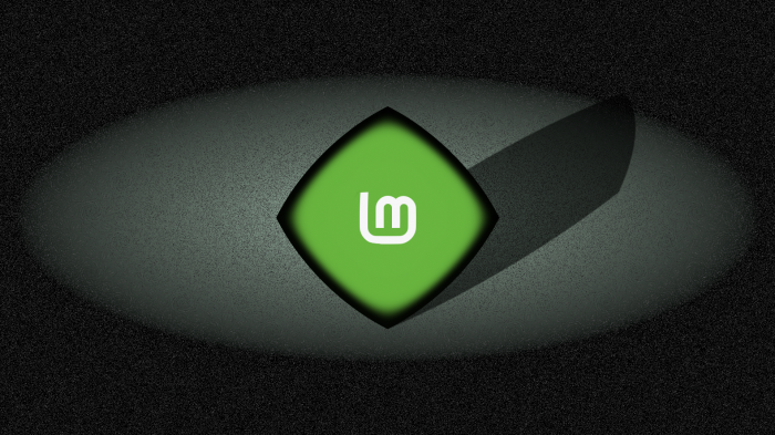 Linux Mint logo on a spotlighted surface