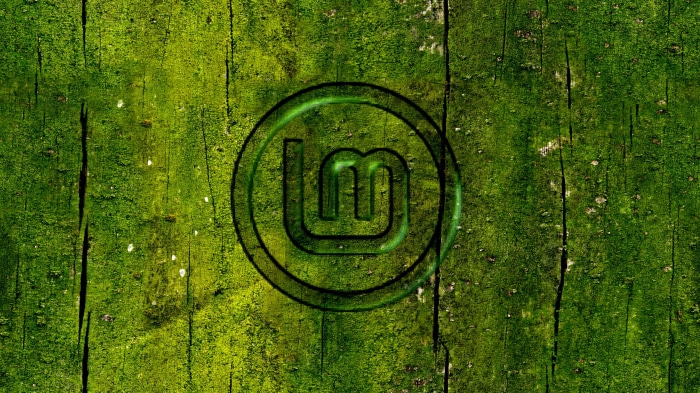 Linux Mint logo on mossy wood texture