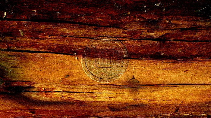Linux Mint logo on wood texture