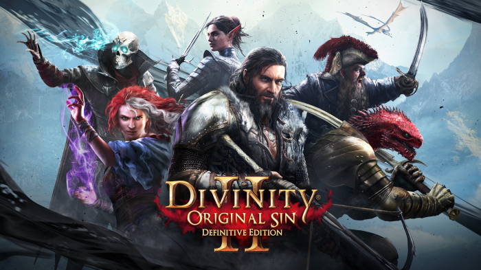 Divinity: Original Sin II Definitive Edition 4K