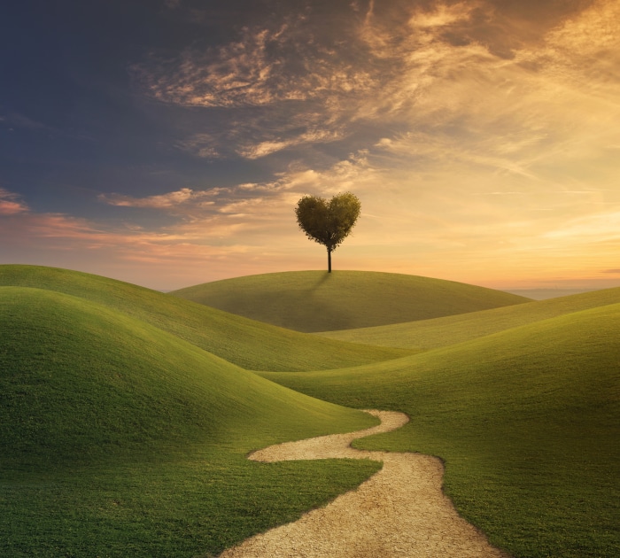 Heart-shaped tree on rolling hills at sunset