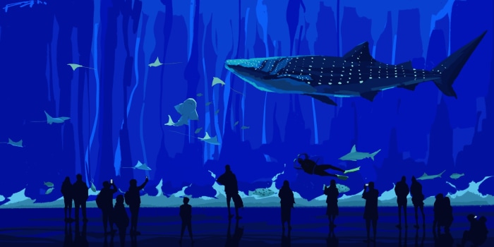 Whale shark and stingrays in a large aquarium with divers and onlookers