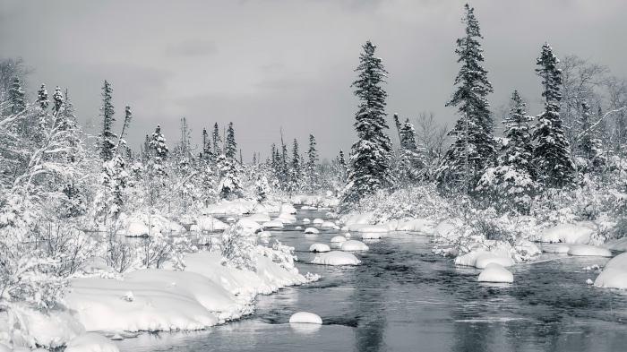 Winter river flowing through a snow-covered forest