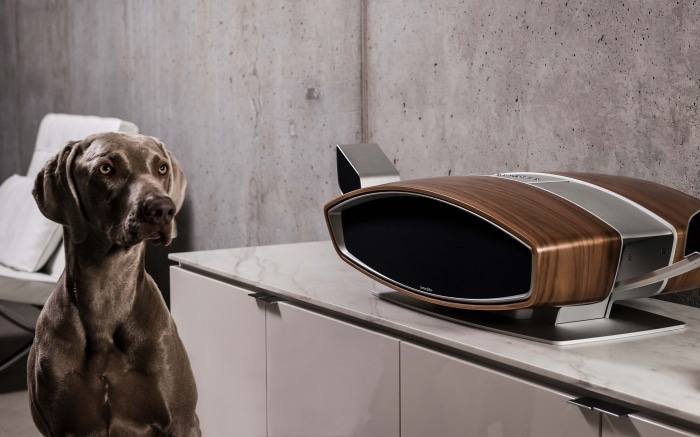 Weimaraner dog and modern speaker